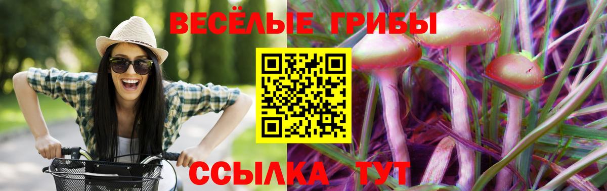 Галлюциногенные грибы мицелий  Вход с VPN  Ивантеевка 